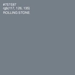 #757E87 - Rolling Stone Color Image
